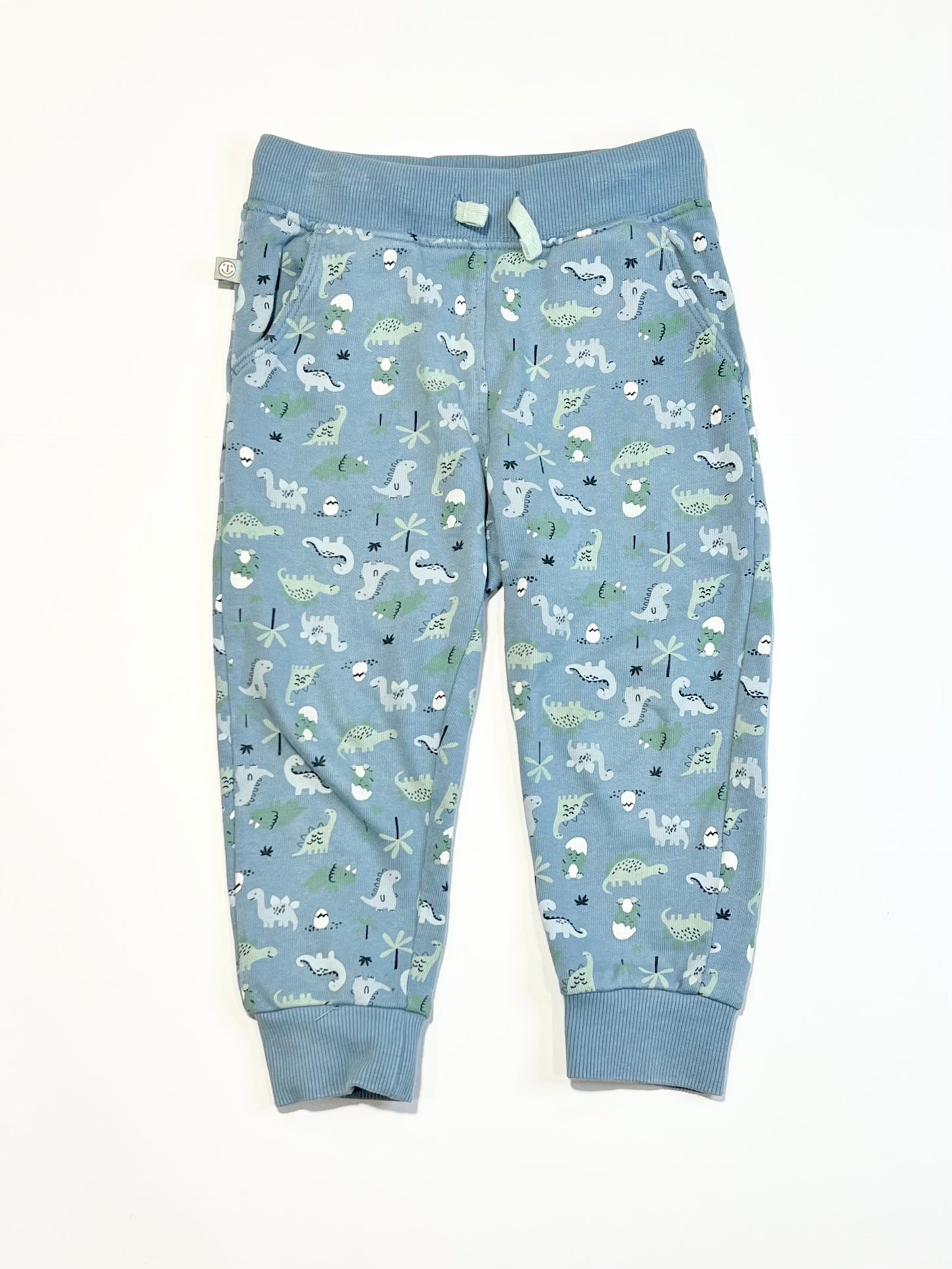 Dinosaur trackies - Size 2