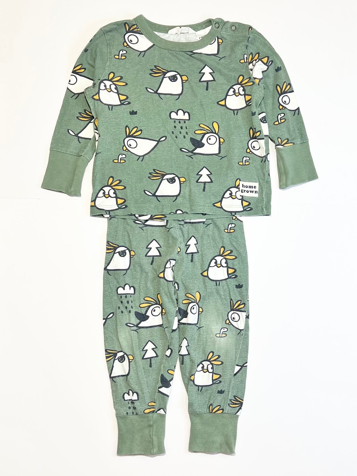 Green cockatoo pyjamas - Size 1