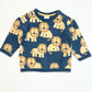 Lions sweater - Size 00