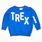 Blue TREX sweater - Size 2