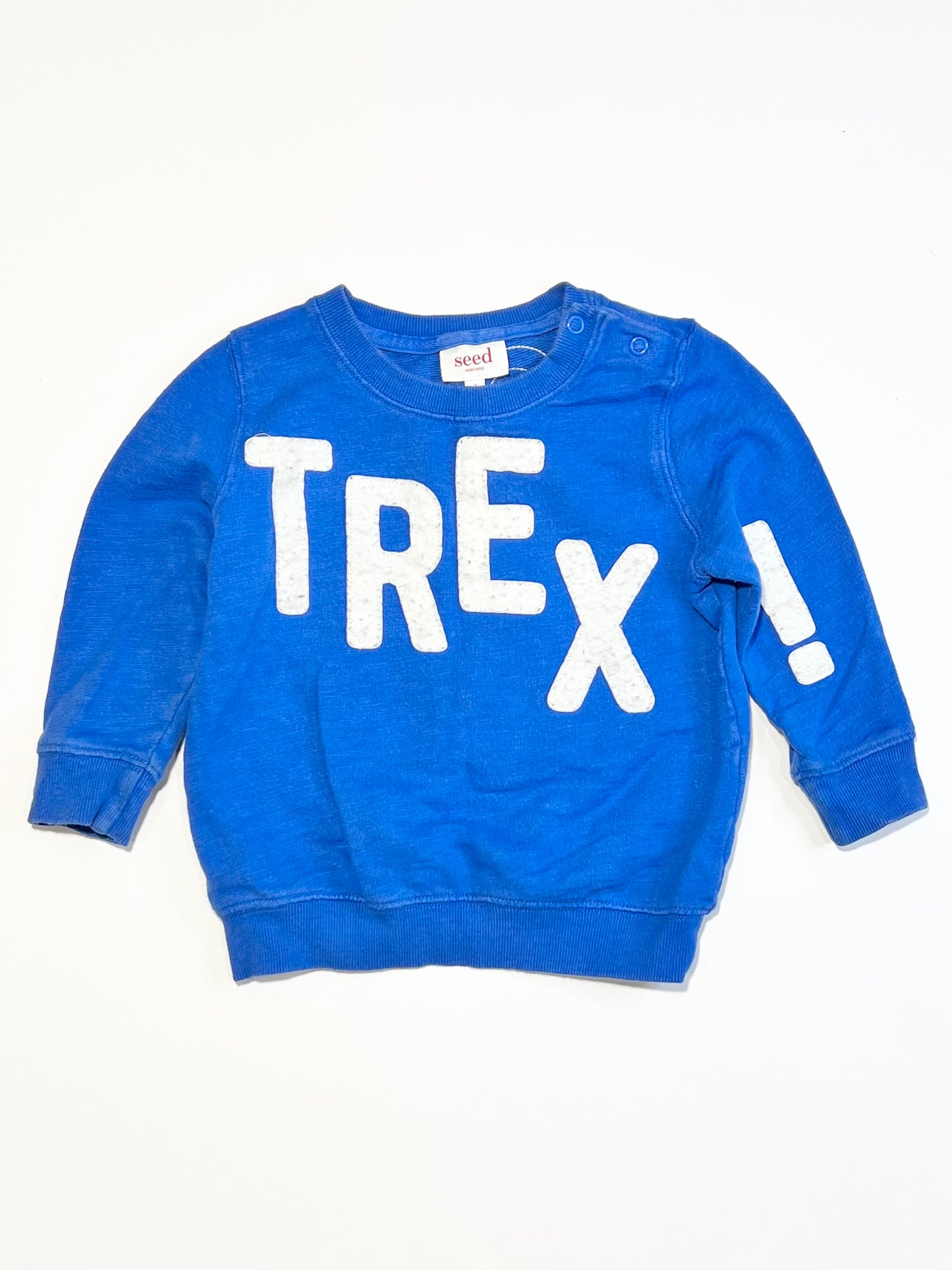 Blue TREX sweater - Size 2