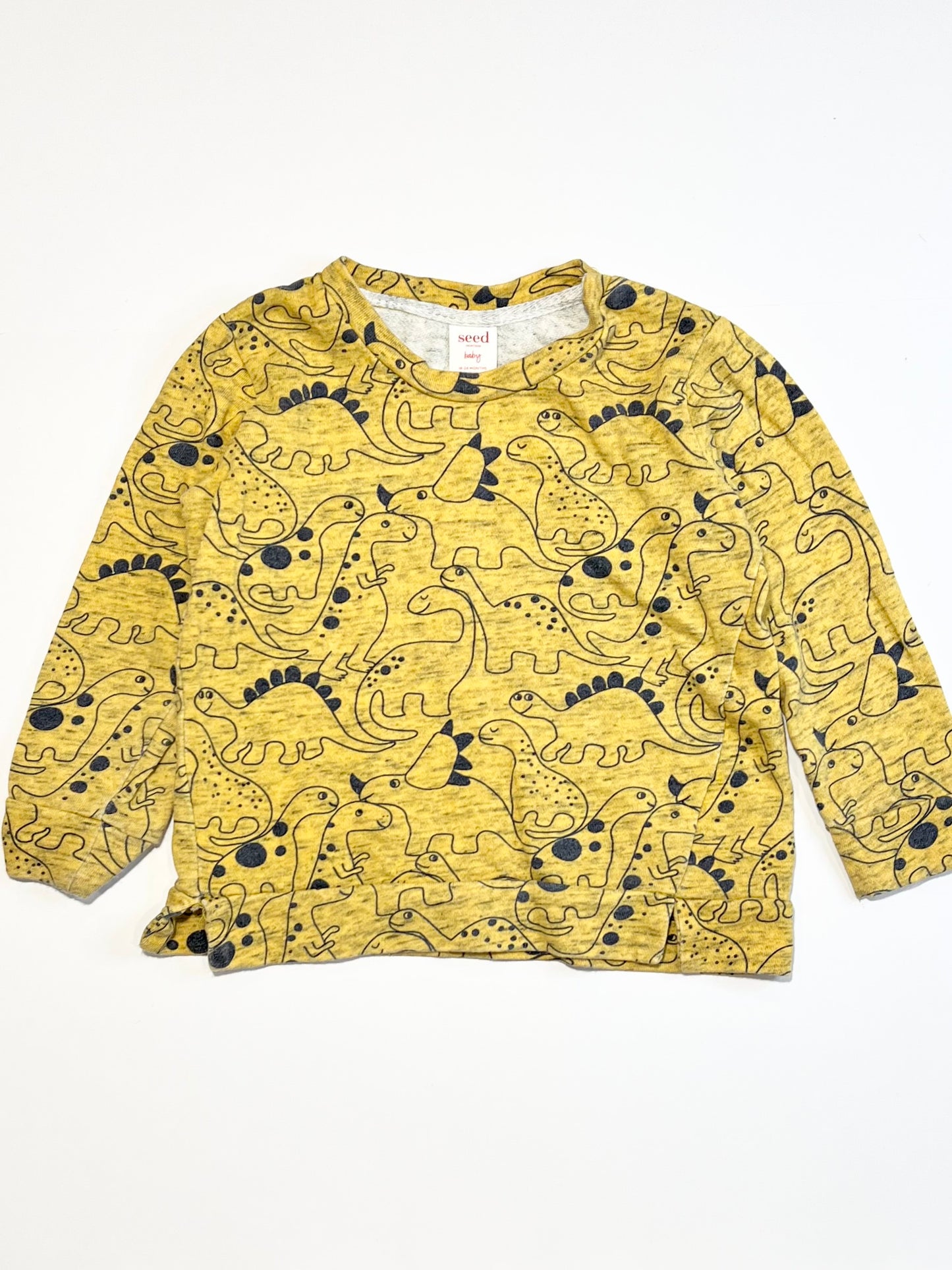 Dinosaurs sweater - Size 2
