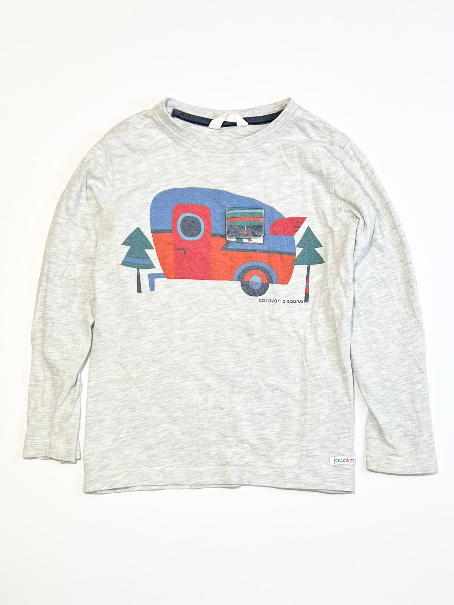 Caravan-a-saurus top - Size 4