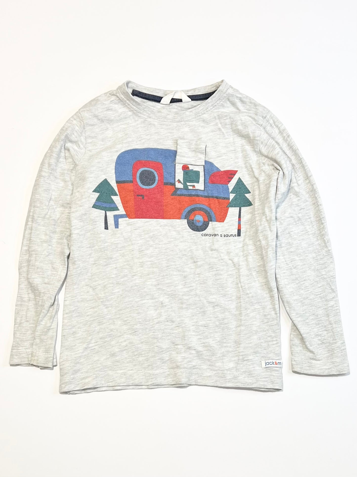 Caravan-a-saurus top - Size 4