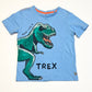 T-rex tee - Size 4