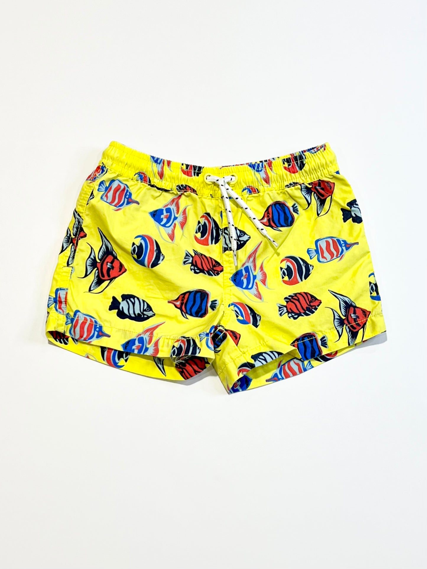 Fishy boardies - Size 3