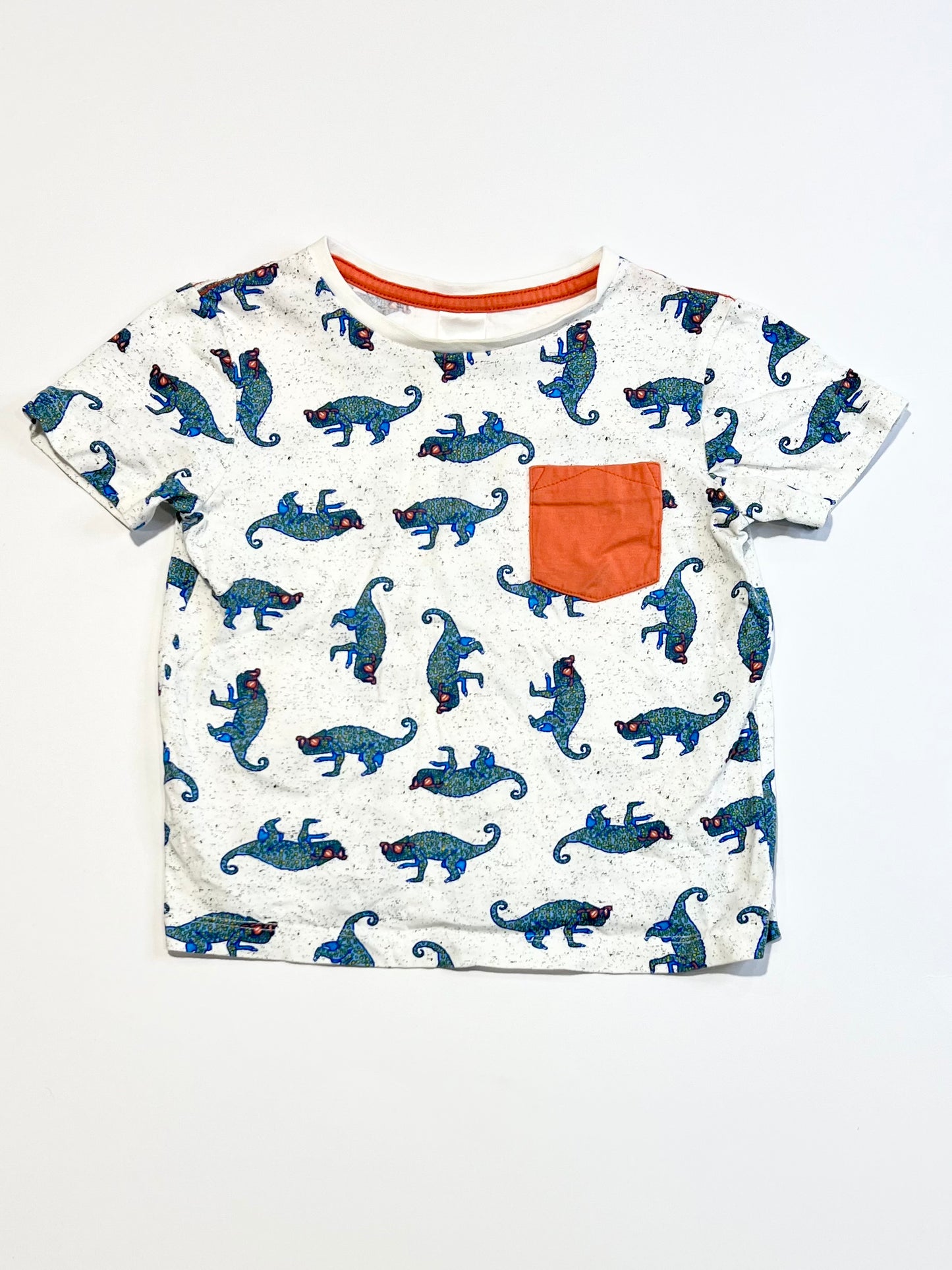 Chameleons tee - Size 3