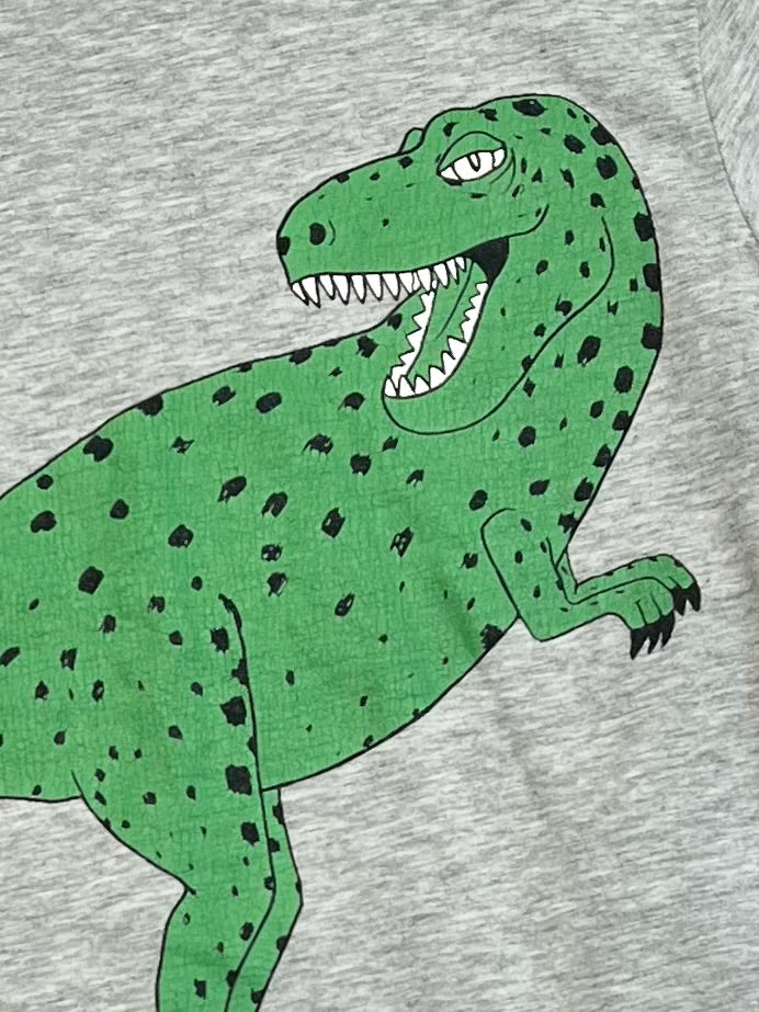 Grey t-rex tee - Size 2