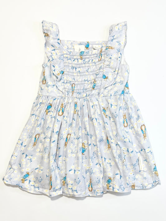 Peter Rabbit dress - Size 2