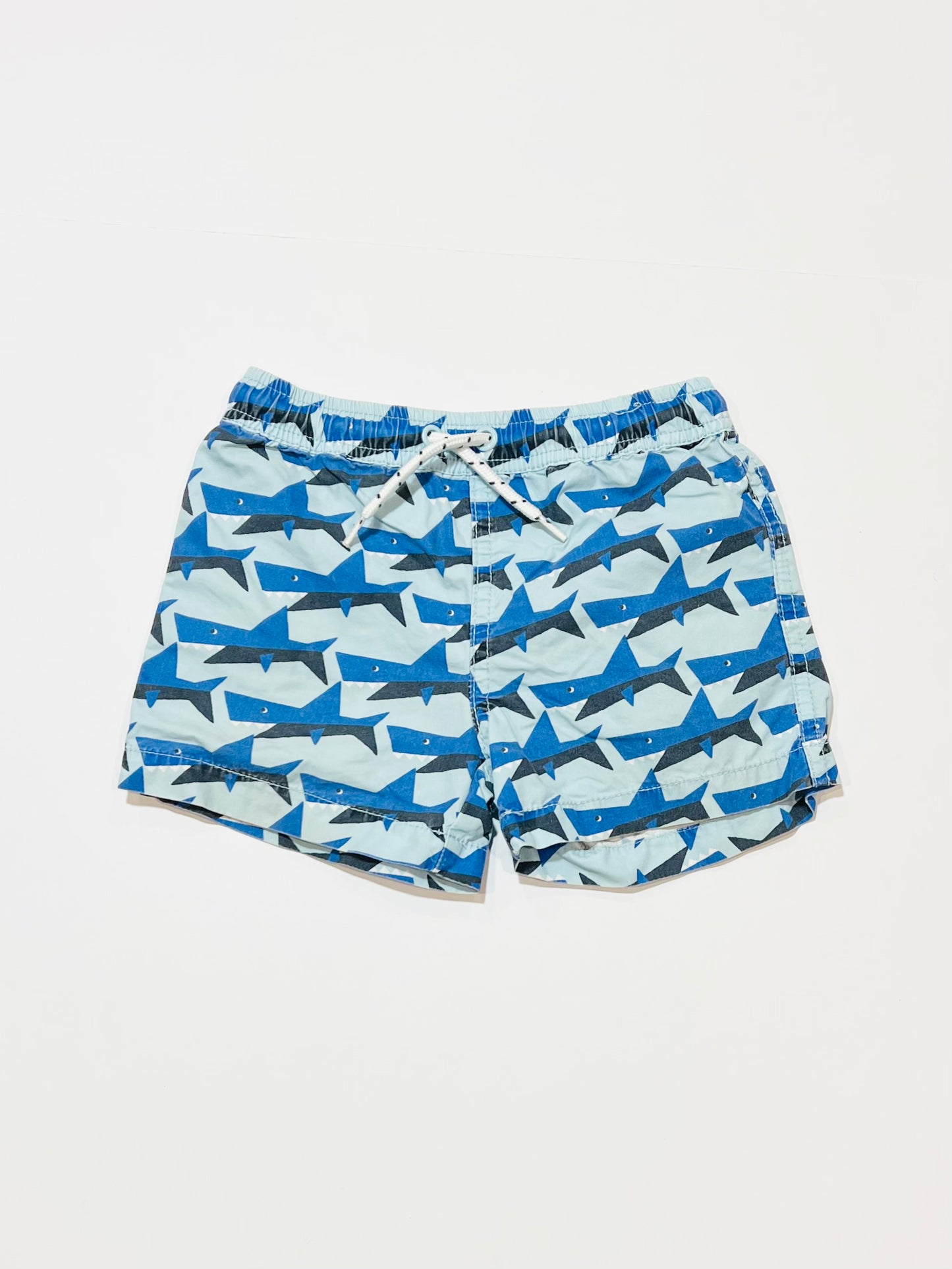 Shark boardies - Size 2