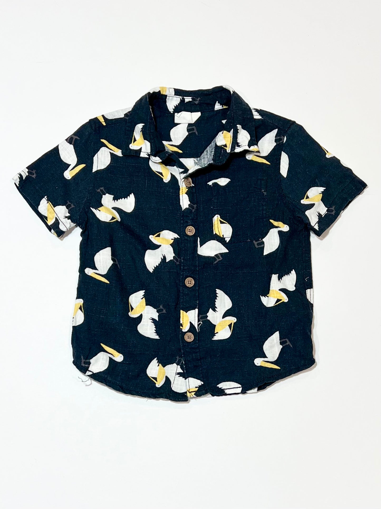 Pelican shirt - Size 3