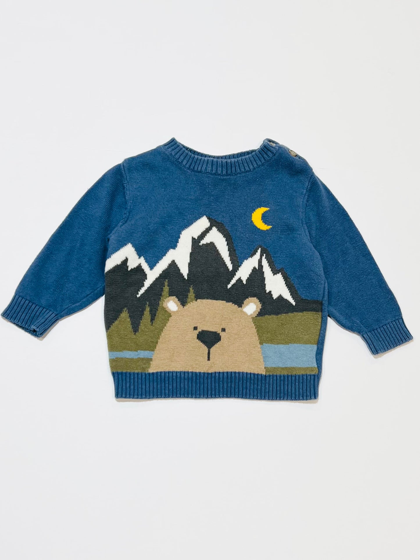 Bear jumper - Size 00