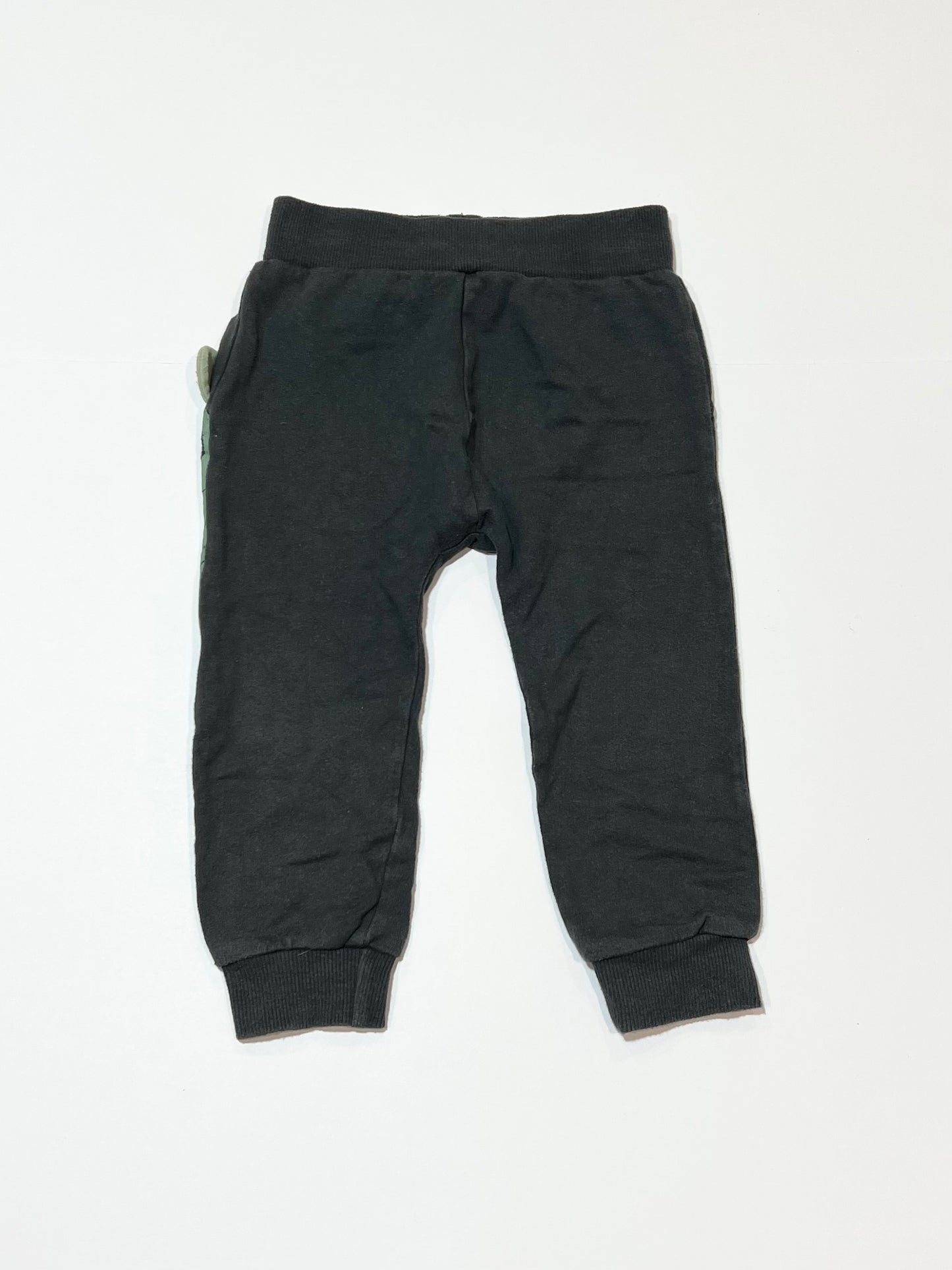 Grey dinosaur trackies - Size 1