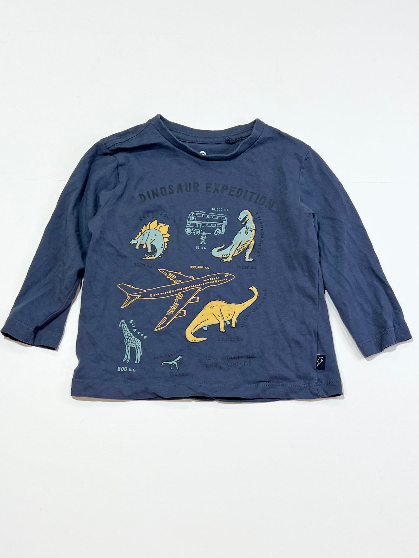 Dinosaur expedition top - Size 2