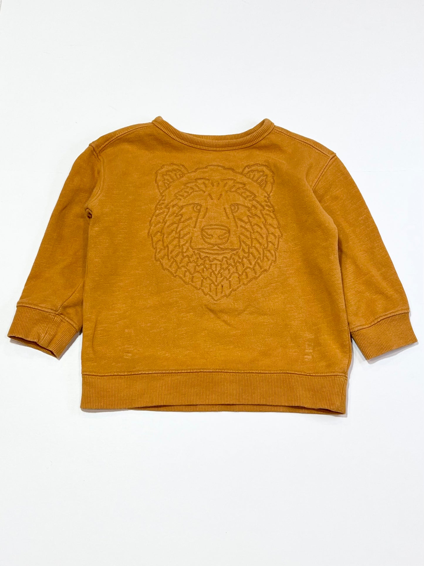 Lion sweater - Size 3