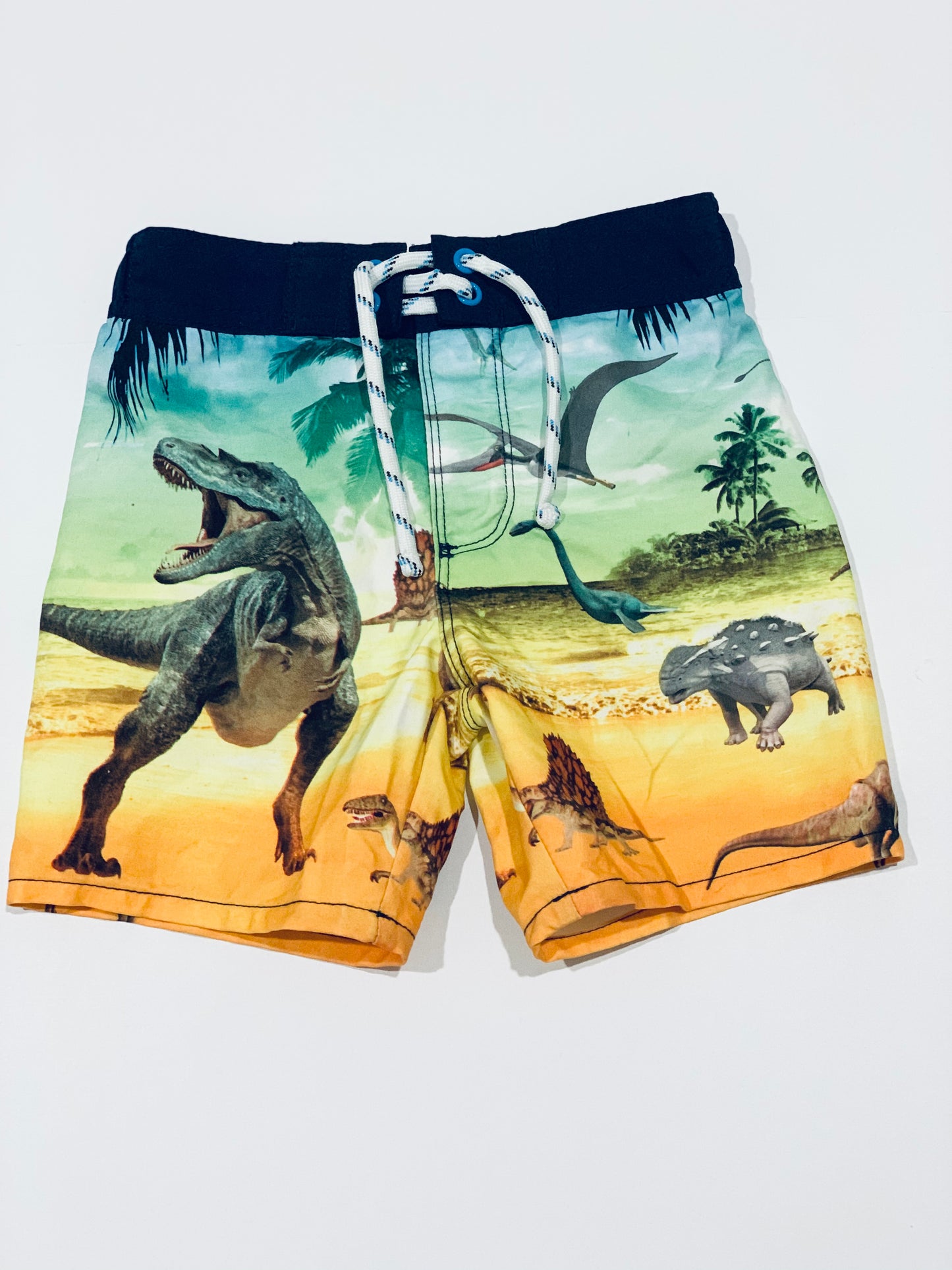 Dinosaur boardies - Size 3