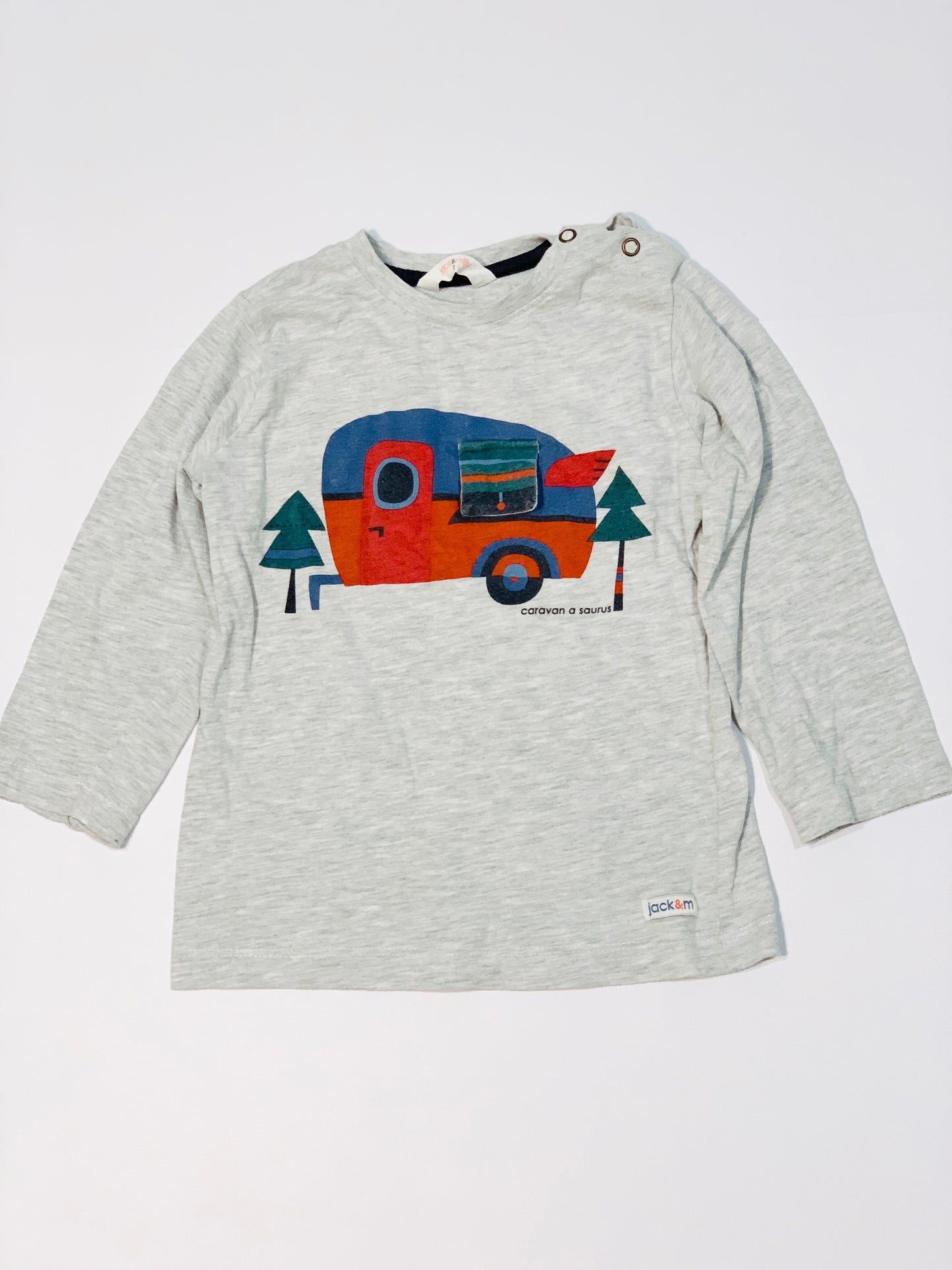 Caravan-a-saurus top - Size 2