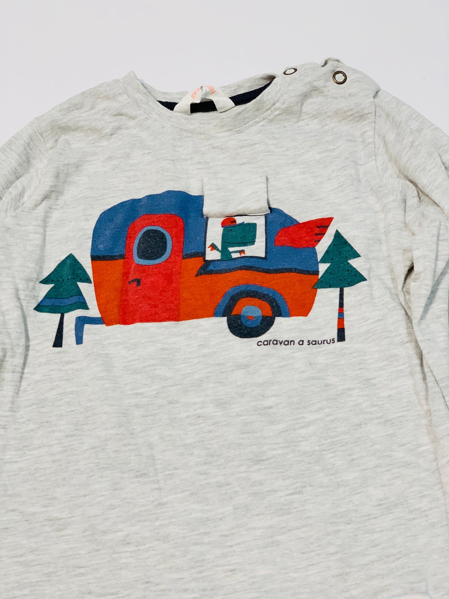 Caravan-a-saurus top - Size 2
