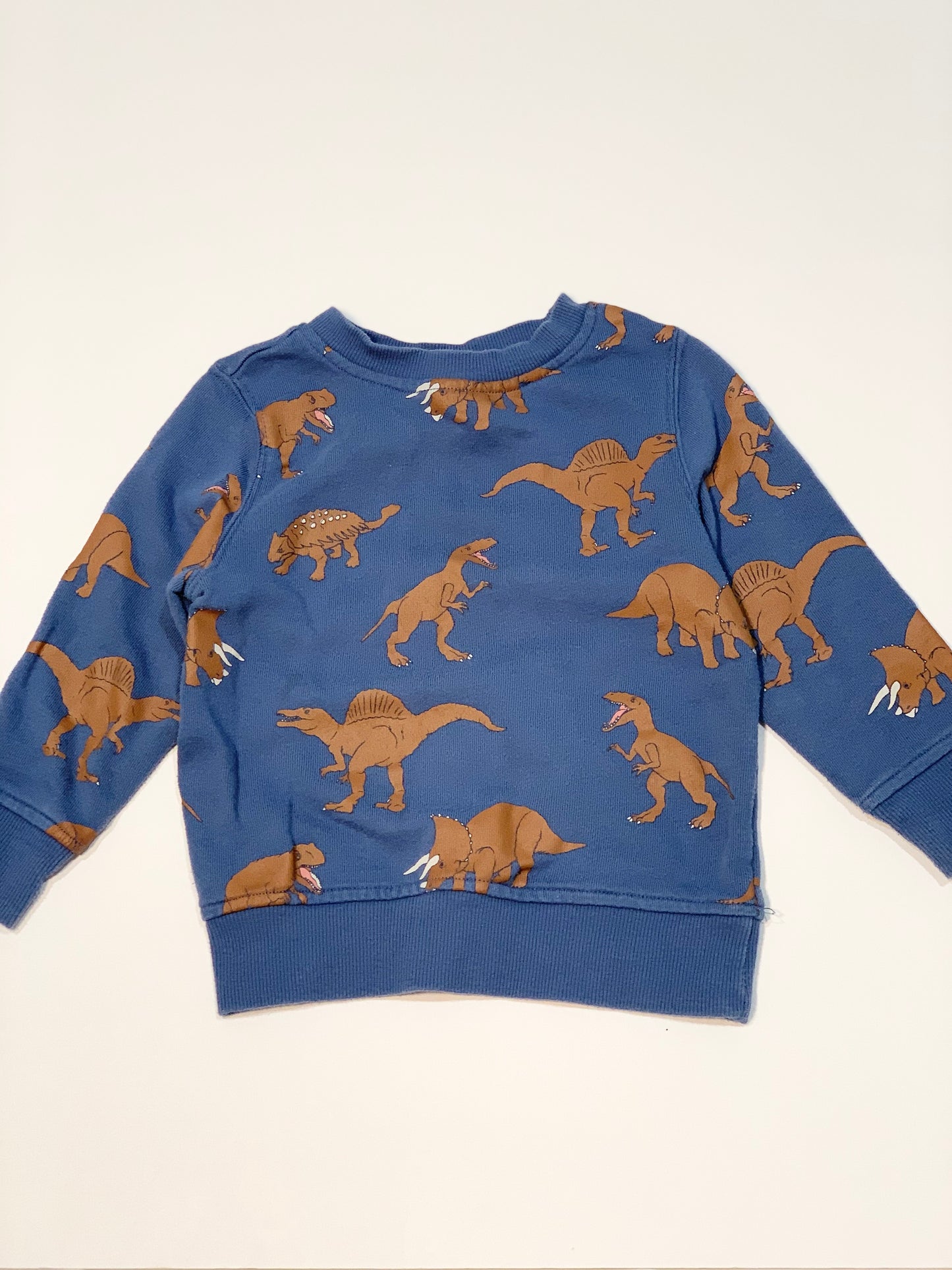 Dinosaur sweater - Size 2