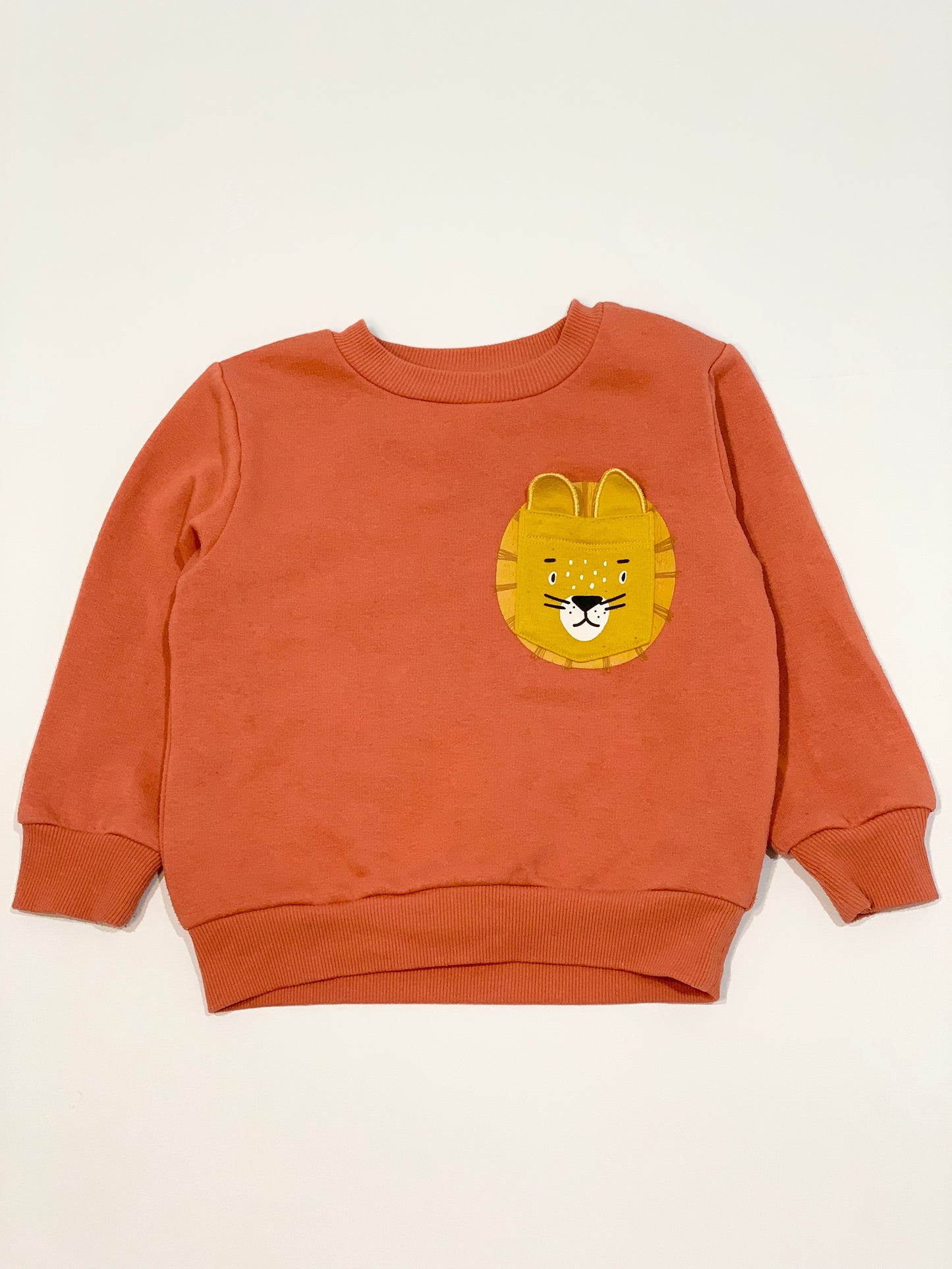 Lion sweater - Size 3